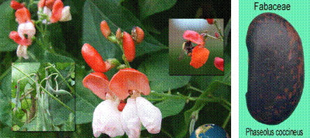 lec18_clip_image003.gif