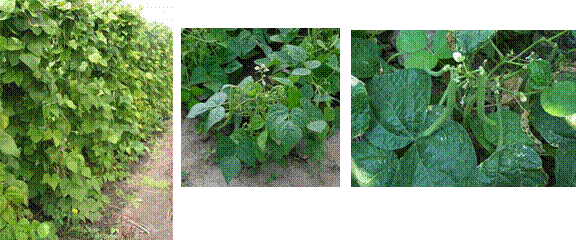 lec18_clip_image015.gif