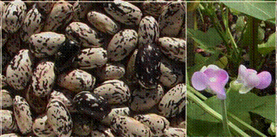 lec18_clip_image015_0000.gif