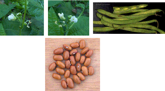 lec18_clip_image020.gif