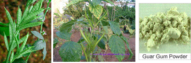 lec19_clip_image004.gif