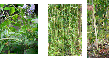 lec21_clip_image004.gif