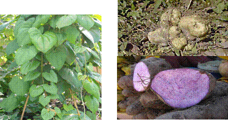 lec26_clip_image004.gif