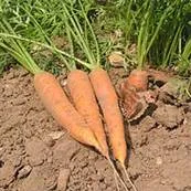 lec27_clip_image004.webp