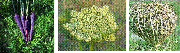 lec27_clip_image010.gif