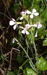 lec28_clip_image002.webp