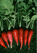 lec28_clip_image008.gif