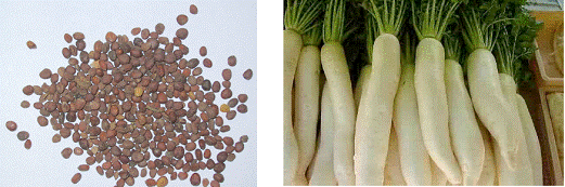 lec28_clip_image010.gif