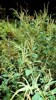 lec31_clip_image010.webp