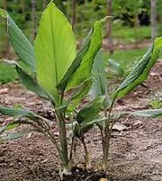 lec02_clip_image002.webp