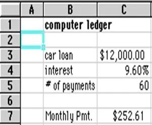 computer  ledger