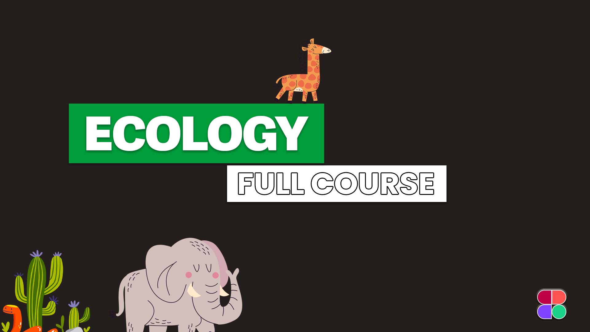 Insect Morphology Systematics Full Course