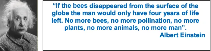Famous quote about the importance of bees for life on Earth