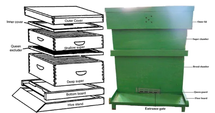 Standard bee box (bee hive) showing its main components from stand to outer cover