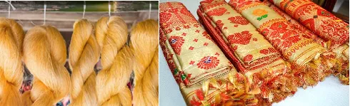 Golden yellow muga silk fabric from Antheraea assamensis produced in Assam