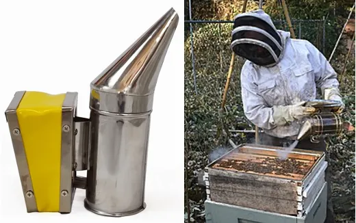 Bee smoker -- a metal tube with bellows used to calm bees during hive inspection