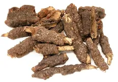 Stick lac as the raw harvested lac encrustation still attached to twig pieces