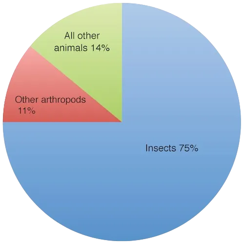 Insect Percentage
