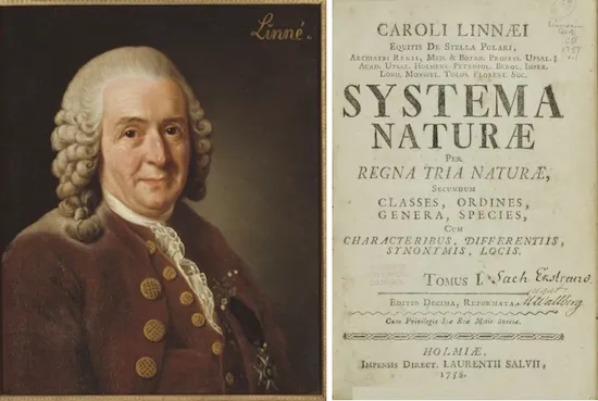 Carl Linnaeus
