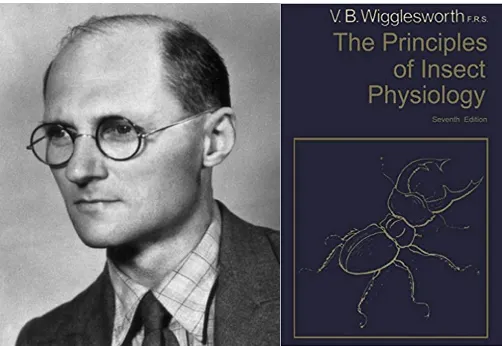 Wigglesworth