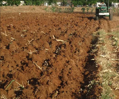 Deep summer ploughing to expose nematodes to heat, desiccation, and UV radiation