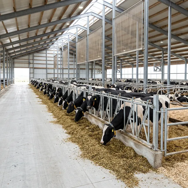 Livestock Management