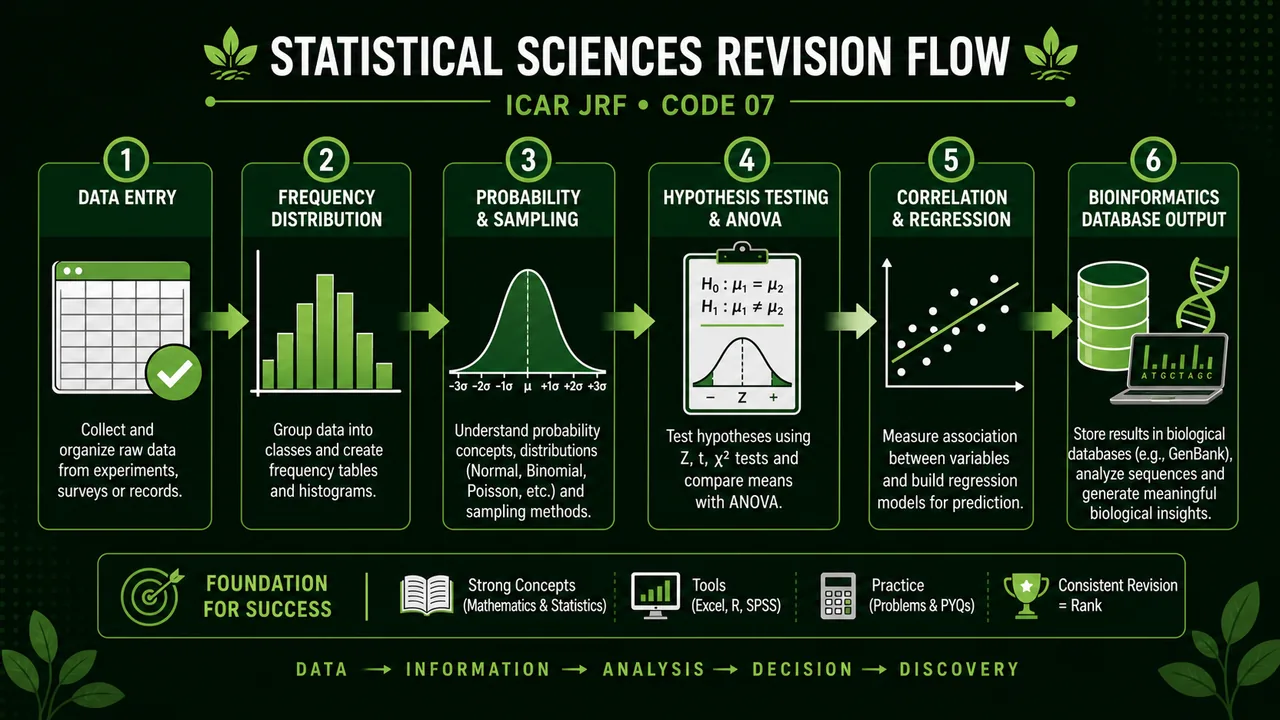 Statistical sciences revision flow showing data entry, frequency distribution, probability, hypothesis testing, regression, and biological database output