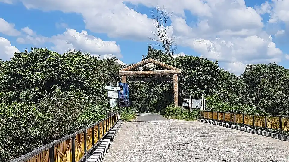 Dudhwa National Park in Lakhimpur Kheri showing Terai forest and grassland habitat in Uttar Pradesh