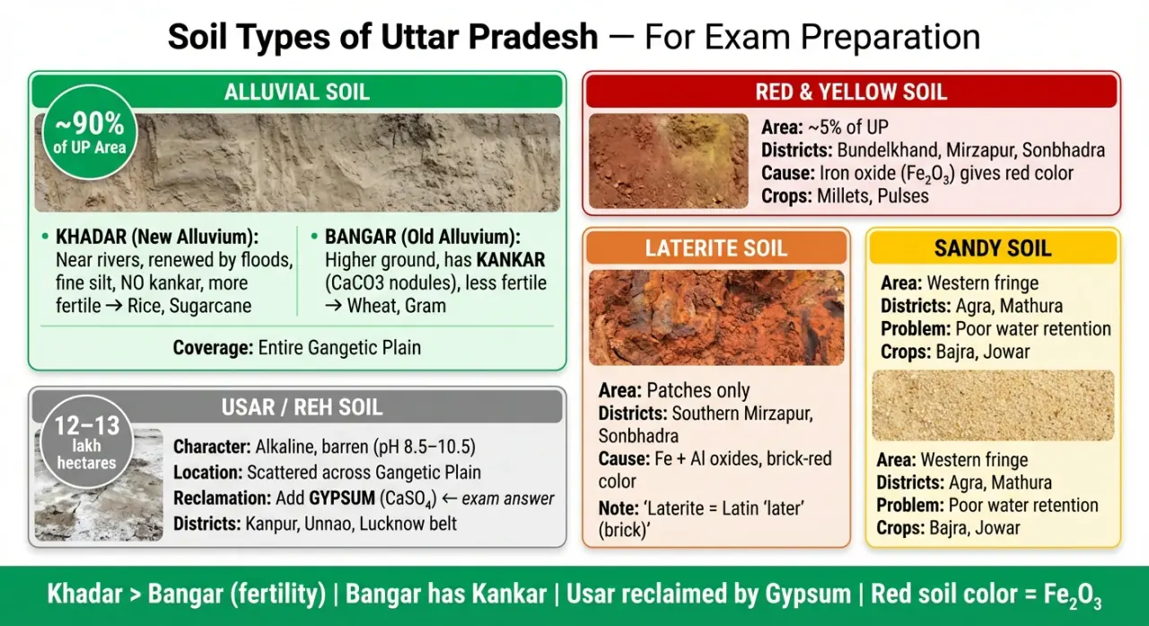 Major soil types of Uttar Pradesh showing alluvial, red and yellow, laterite, sandy, and Usar or Reh soils