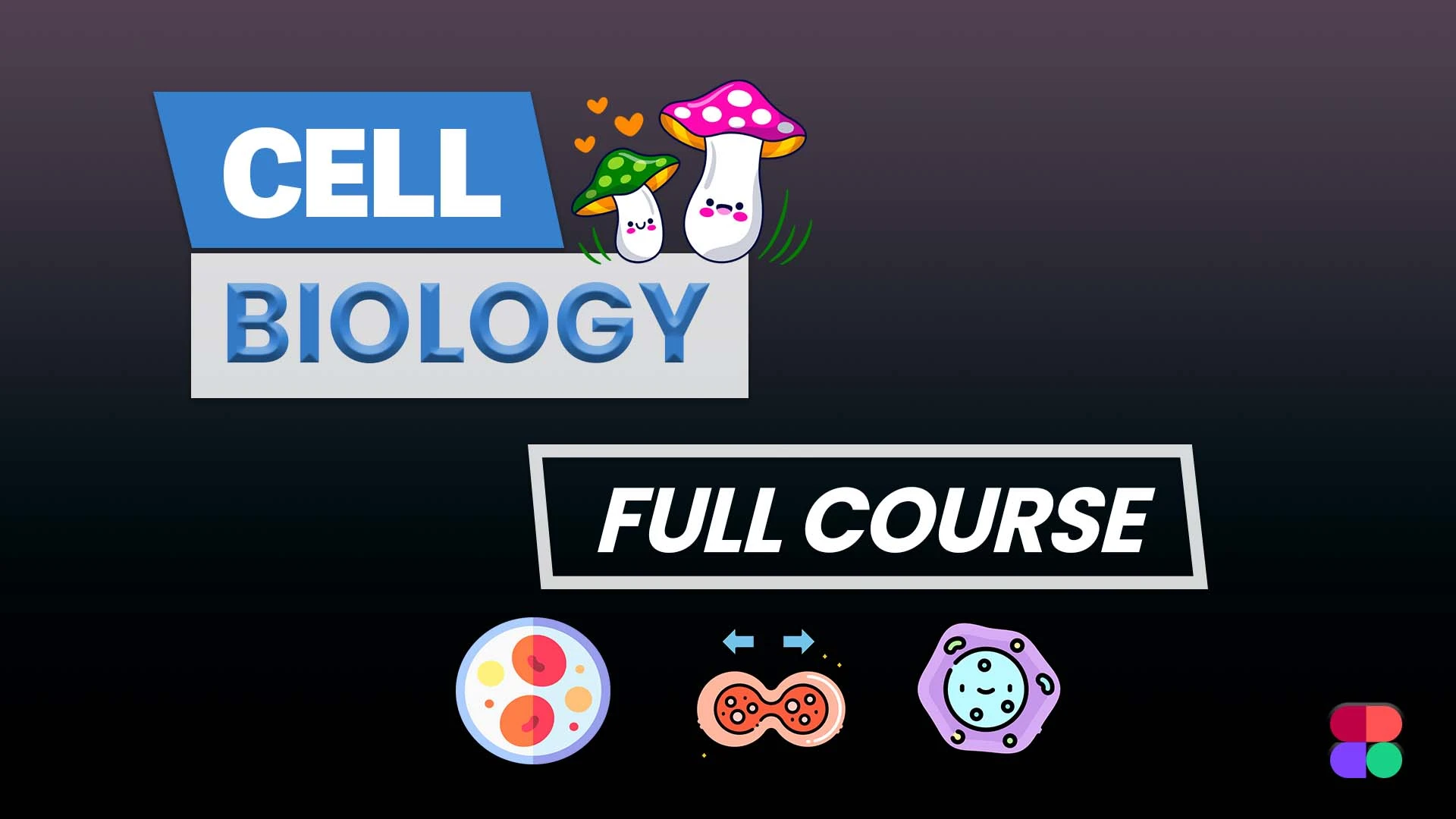 Cell Biology