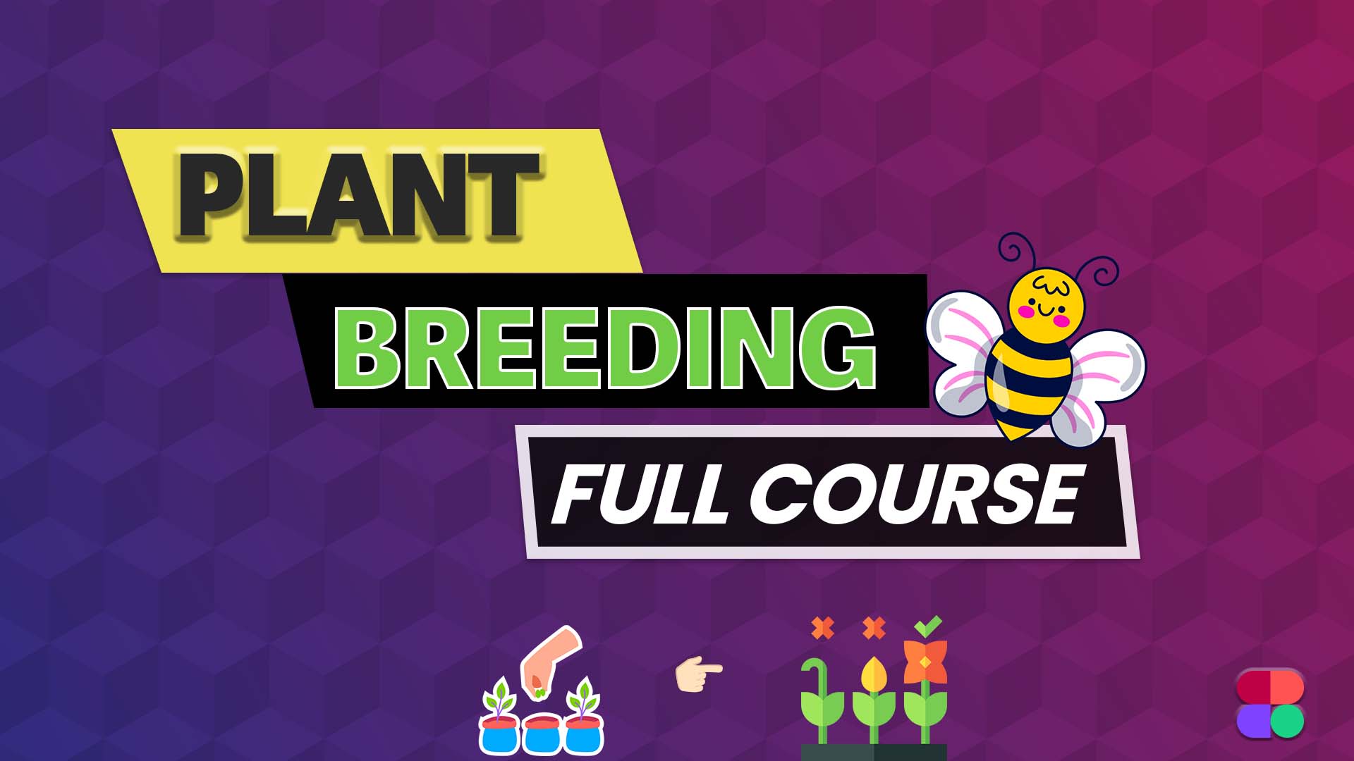 What Is Conventional Method Of Plant Breeding