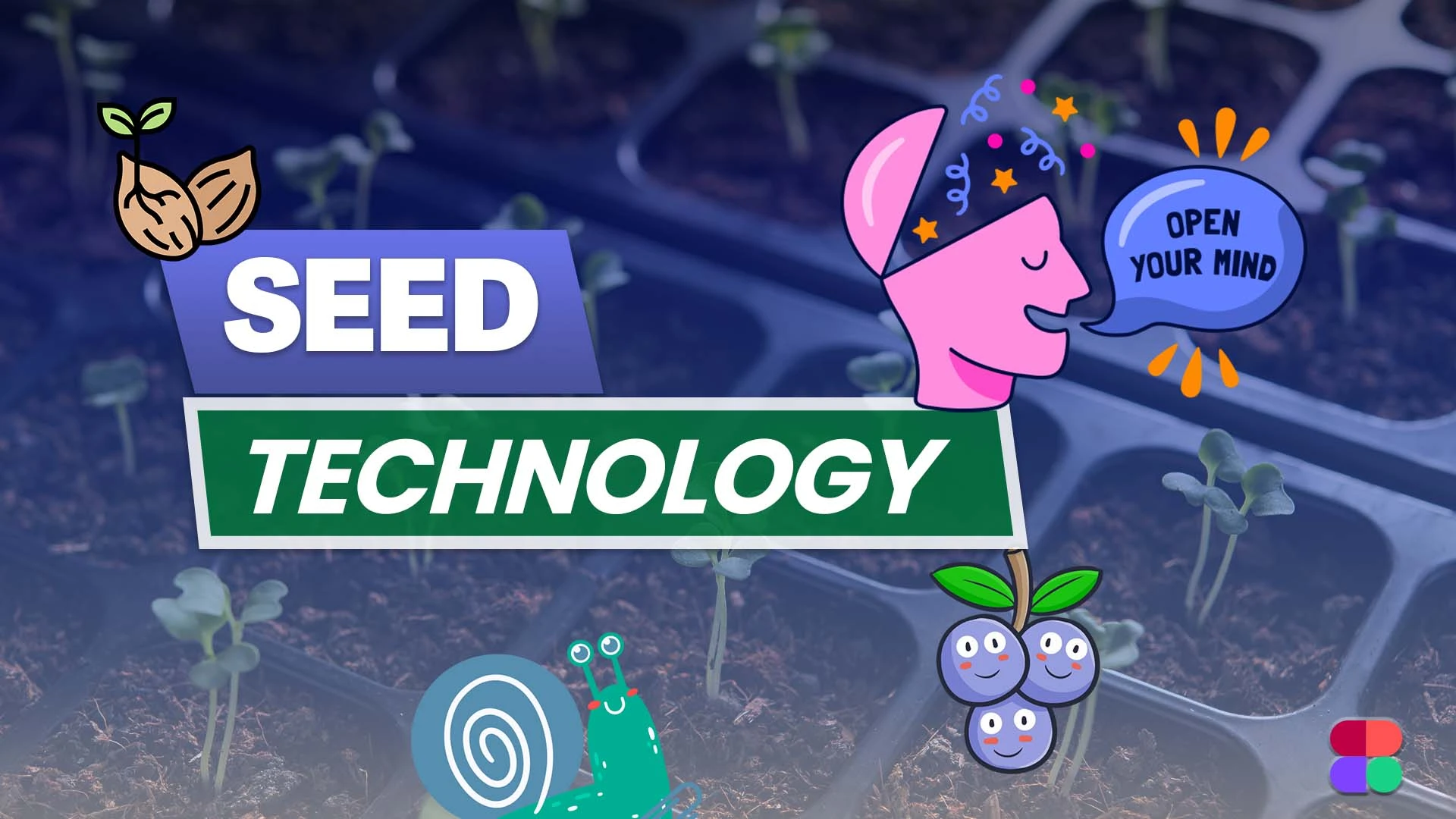 Seed Technology