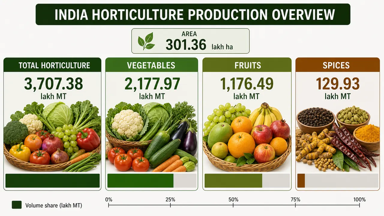 Overall horticulture at a glance showing total horticulture, vegetables, fruits, spices, and area under horticulture