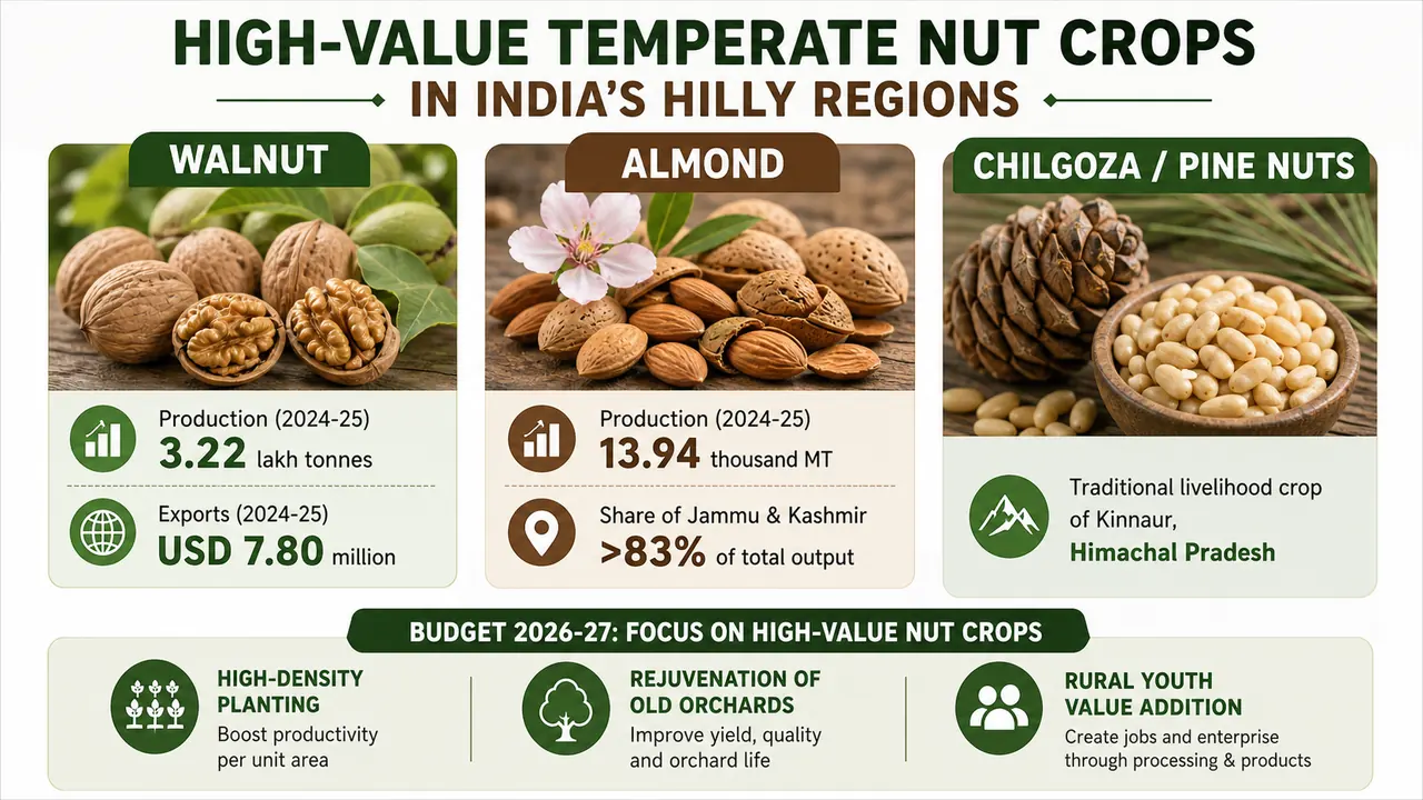Walnut, almond and chilgoza graph for India’s high-value hilly-region nut crop strategy