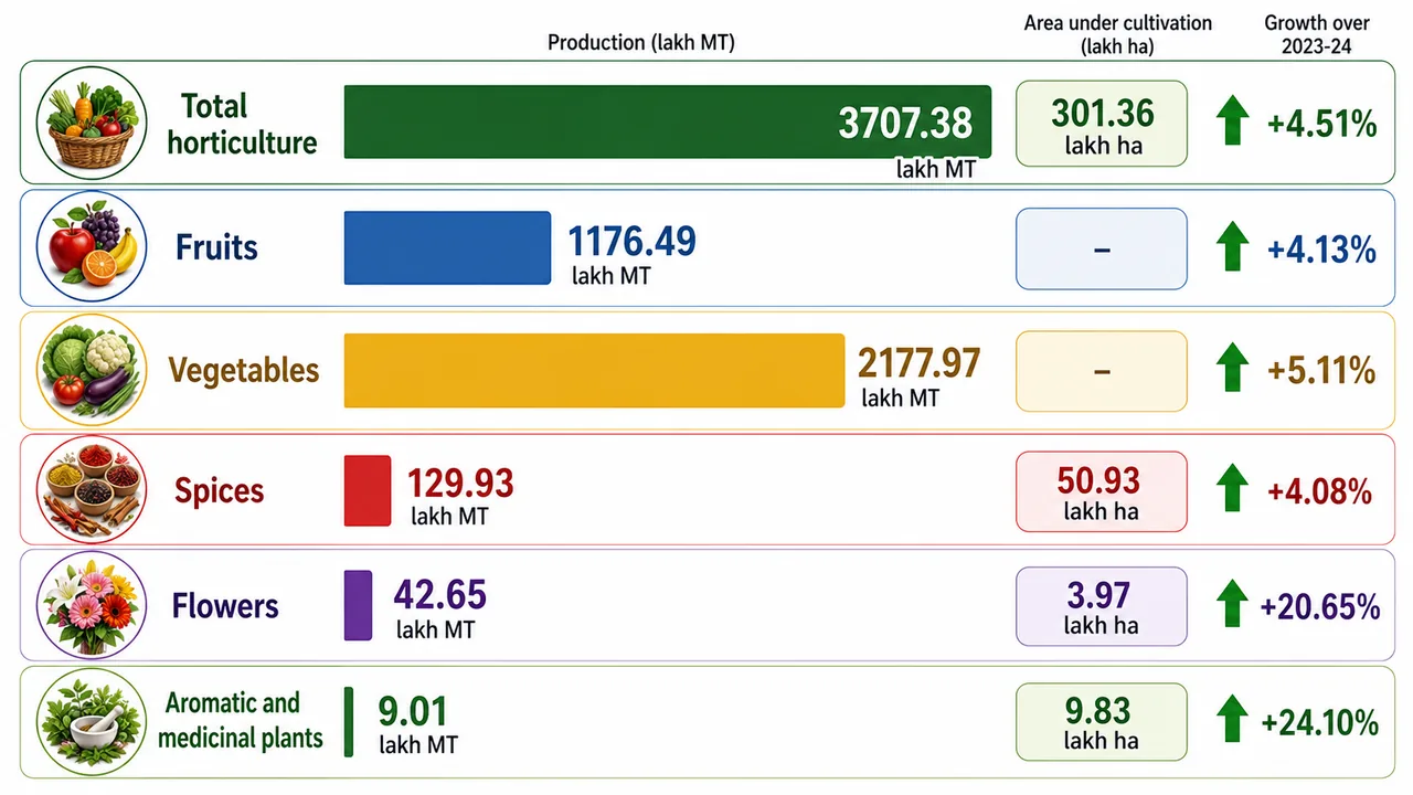 NHB 2024-25 final-estimates infographic showing horticulture production figures for total output, vegetables, fruits, spices, flowers, and aromatic medicinal plants