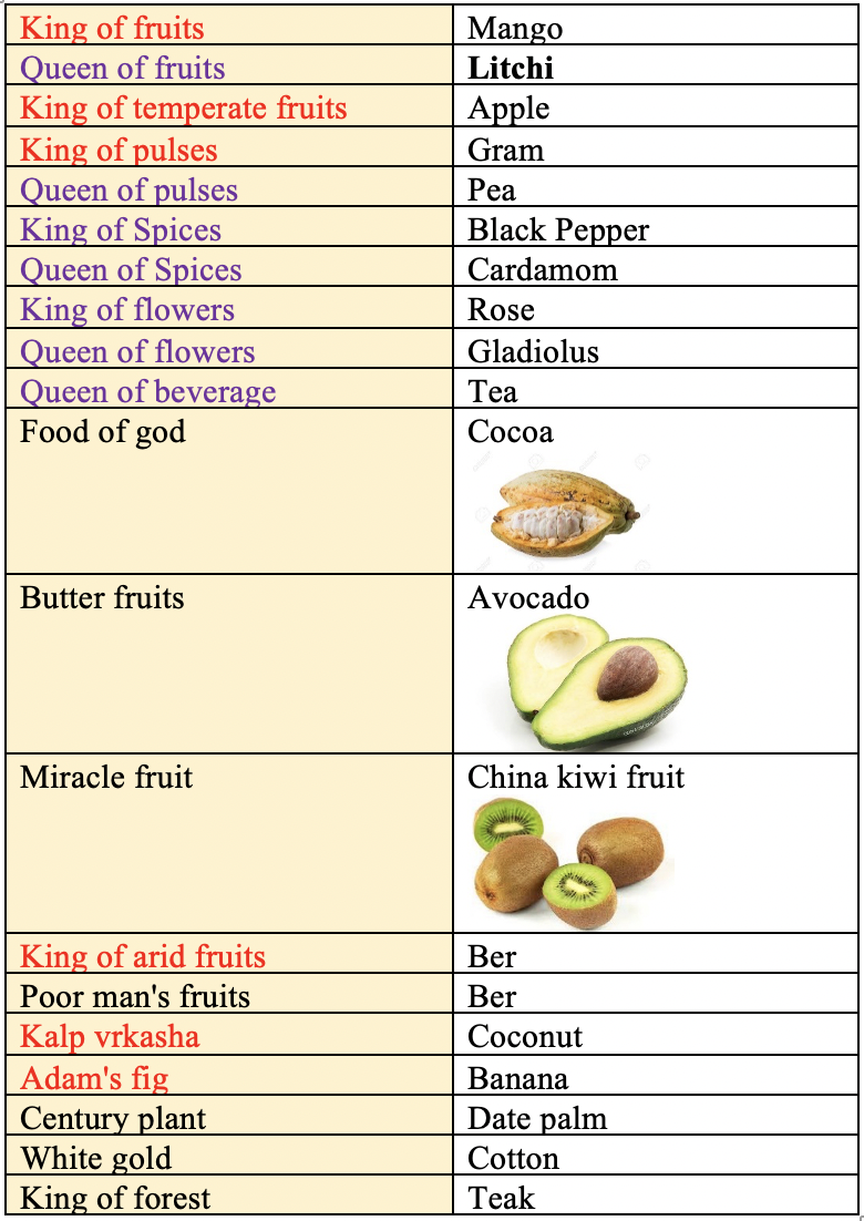 Classification