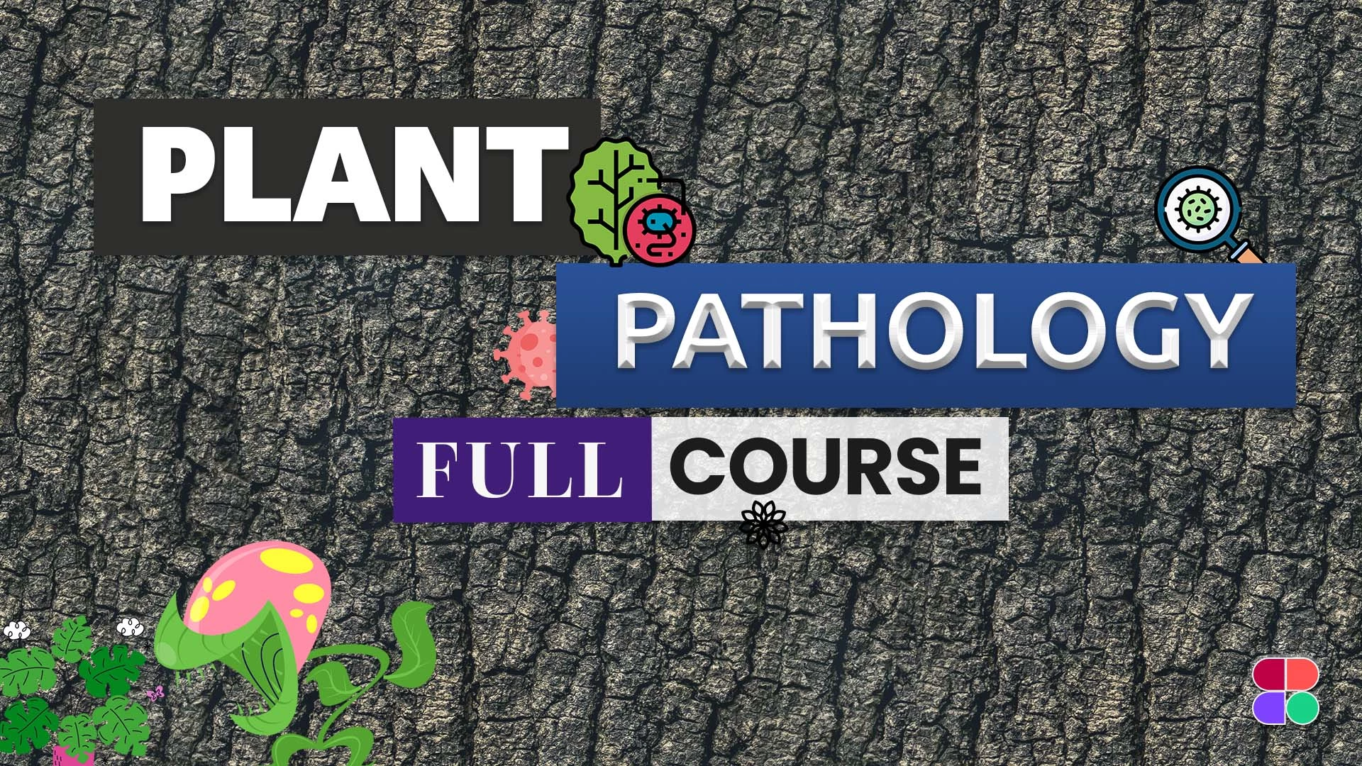 Plant Pathology 🦠