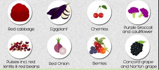 Purple-red anthocyanin pigment in fruits and flowers including brinjal, sugarbeet, and apple