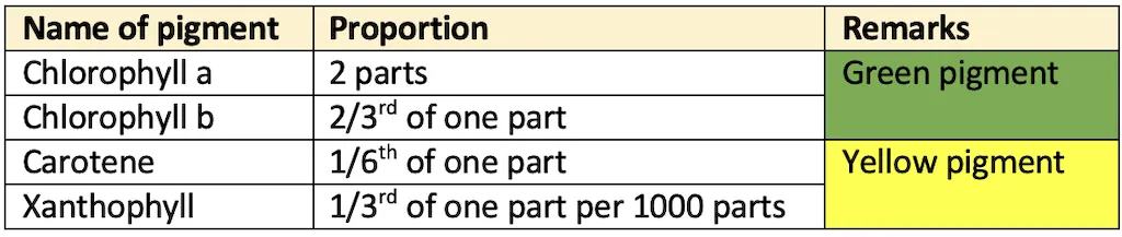 Diagram comparing Chl. a and Chl. b showing the methyl vs aldehyde group difference at carbon 3
