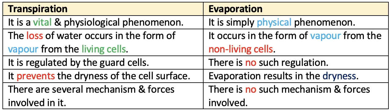 Comparison table between transpiration (biological, regulated by stomata) and evaporation (physical, uncontrolled)