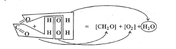 Empirical formula and balanced equation of photosynthesis showing CO2, H2O, light energy, and products