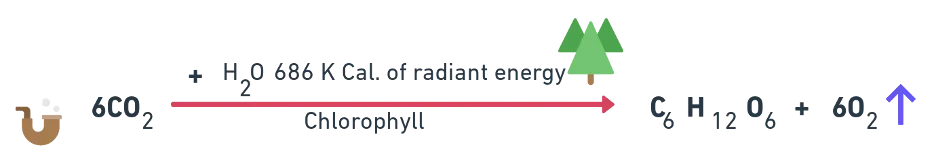 Modern view of photosynthesis showing water as the source of oxygen, not CO2