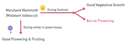 Diagram comparing the light and dark period requirements for short day plants, long day plants, and day neutral plants with critical day length marked