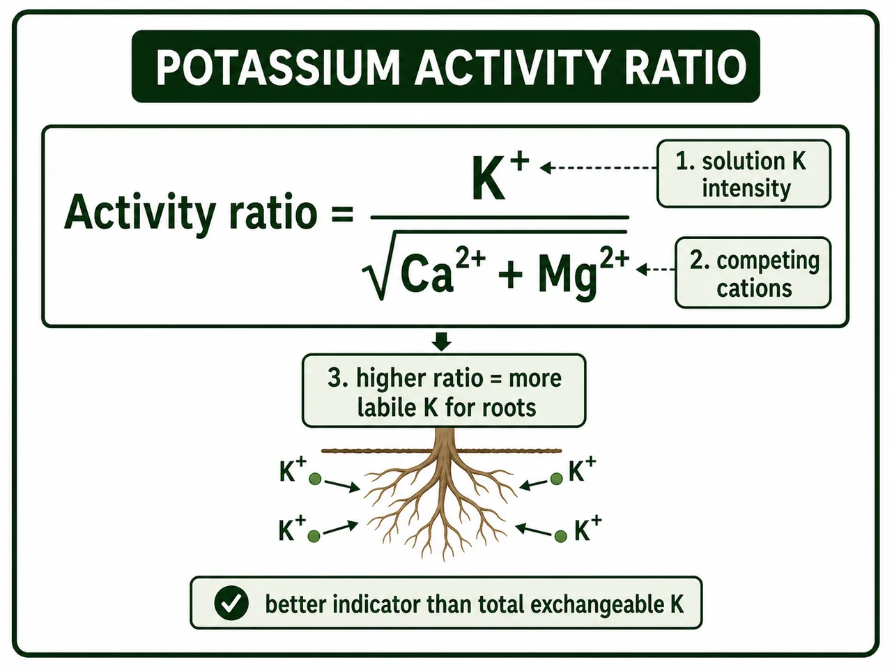 Potassium activity ratio showing K plus over square root of calcium plus magnesium as an indicator of labile potassium available to roots