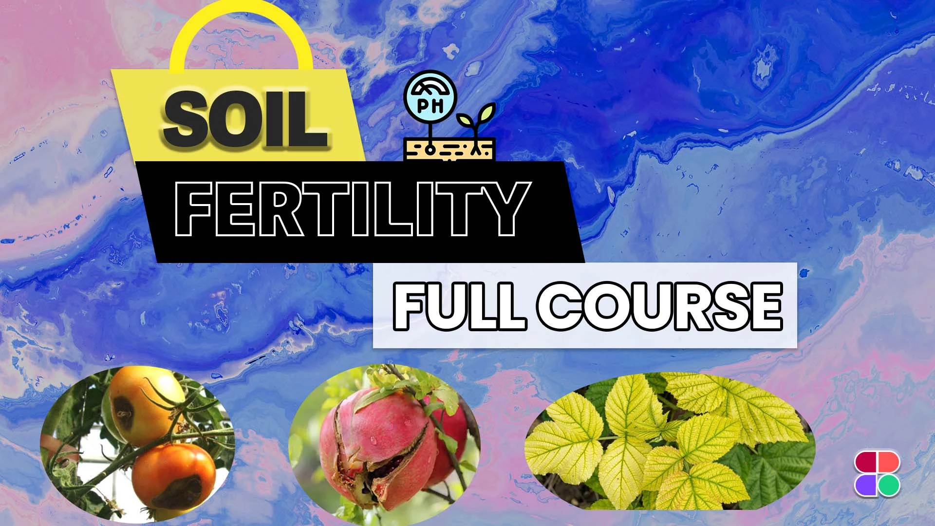 Soil Fertility