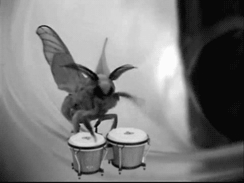 error moth